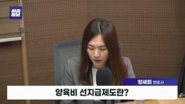 [금태섭의 아침저널] 양육비 선지급제